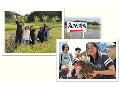 多古町産業農業体験